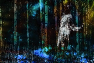 RETOUR NOCTURNE